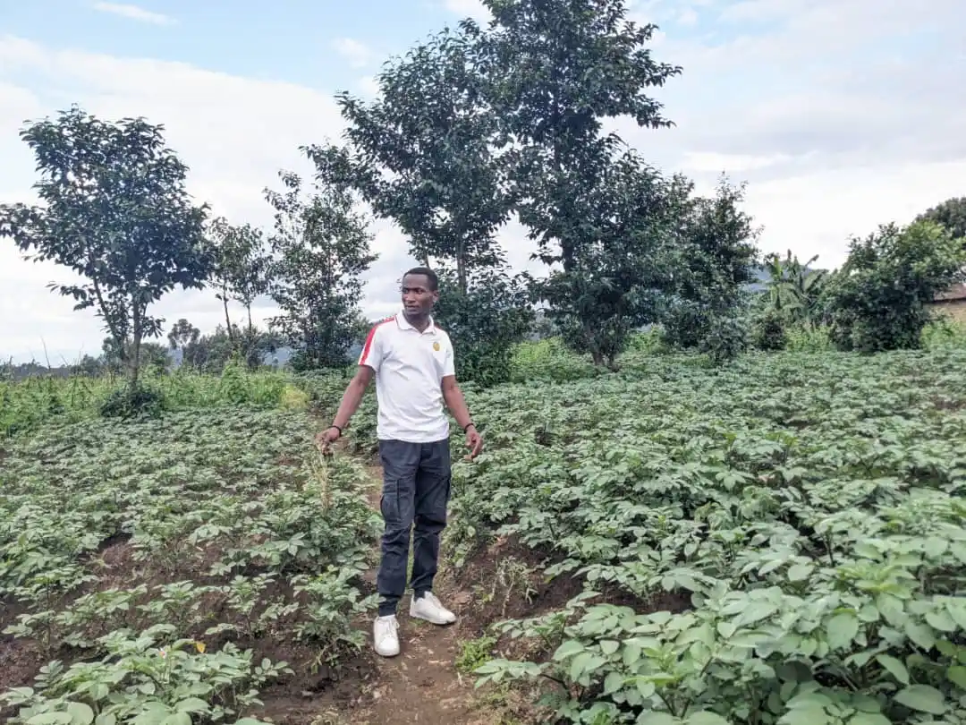 AGRONOMME🇷🇼 post