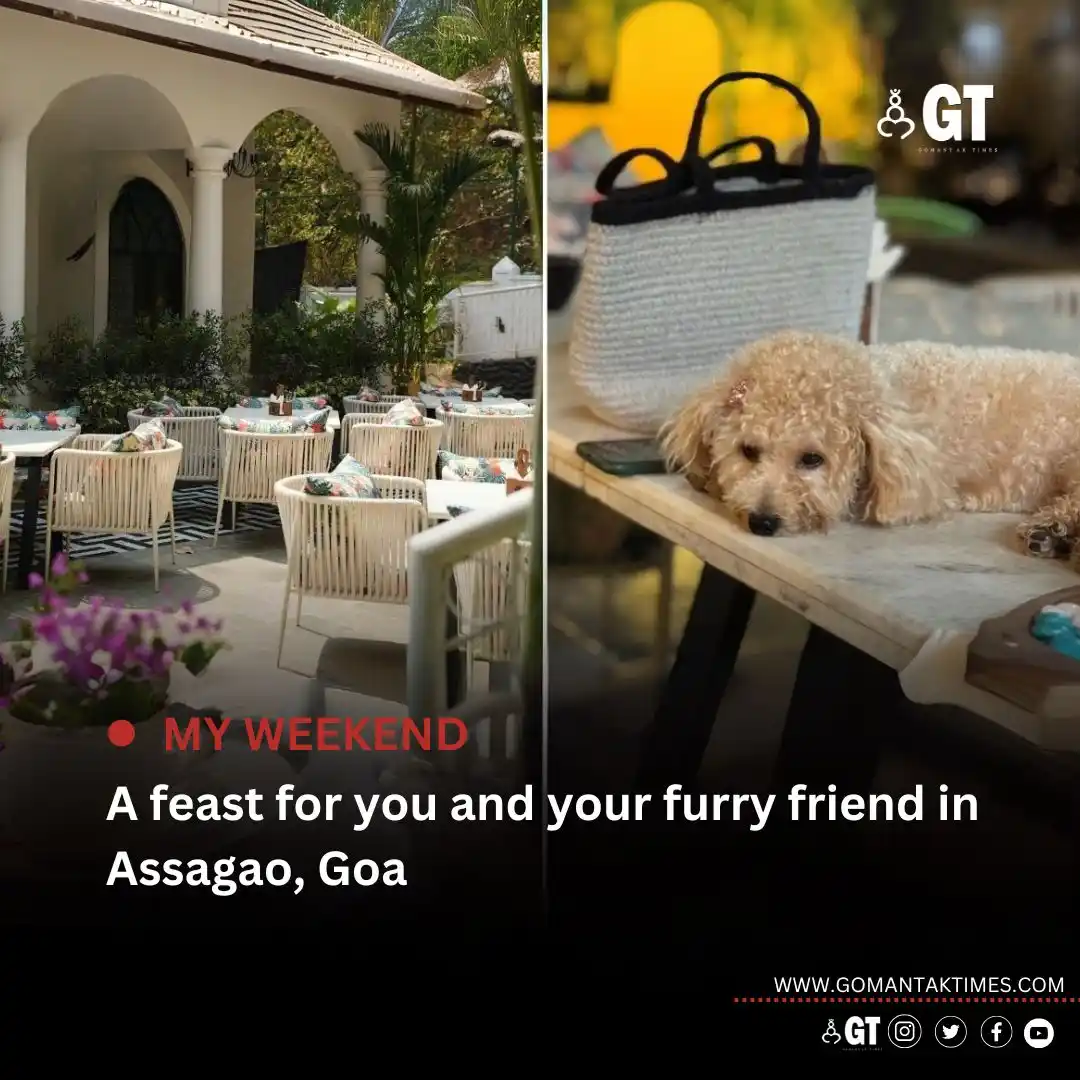 Image from Gomantak Times: *Spend your day at Jugnu’s ‘Sunday Brunch with Pets’, where in associa...