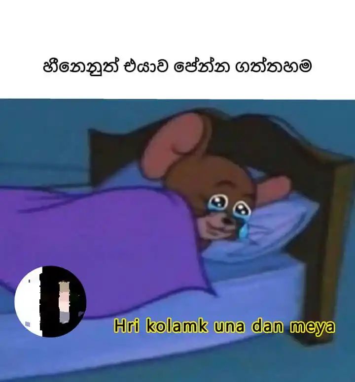 Heart Status Vibes || 💐🕊️❞ post