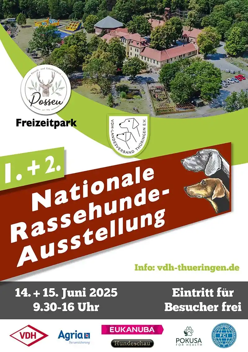 Image from Irish Wolfhound: Bei der 1. u. 2. Nationale Rassehunde-Ausstellung aud dem Possen (Sond...
