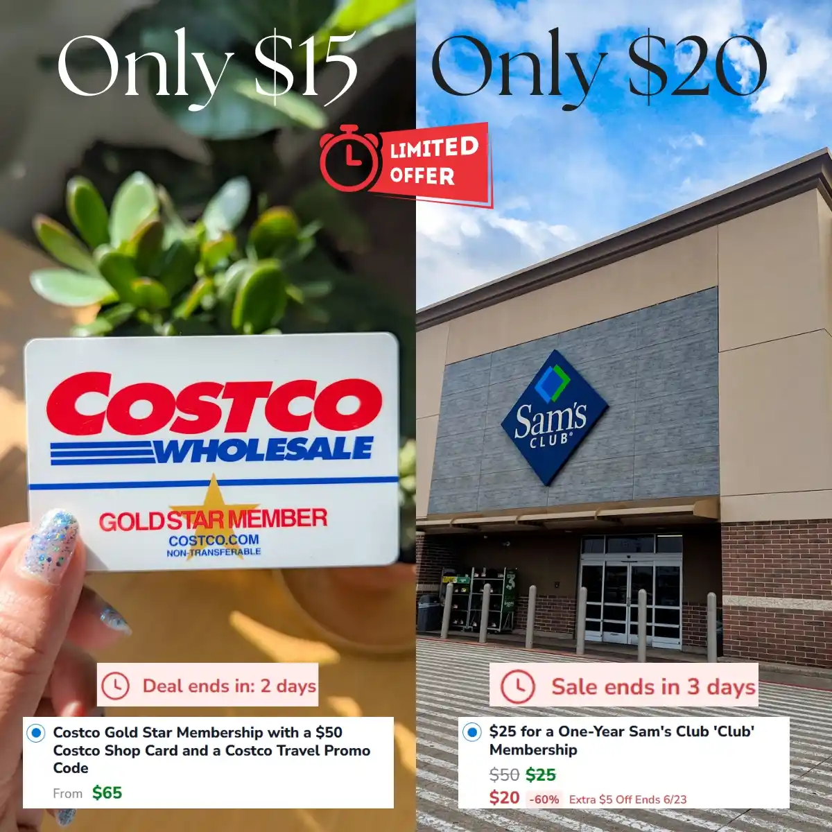 Image from Smart Savers Unite - Deals & Updates: 🥳BEST DEALS FOR A LIMITED TIME on your favorite wholesale club member...