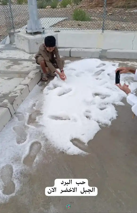 Image from الخيمة العمانية: بردية جبل الاخضر اليوم...