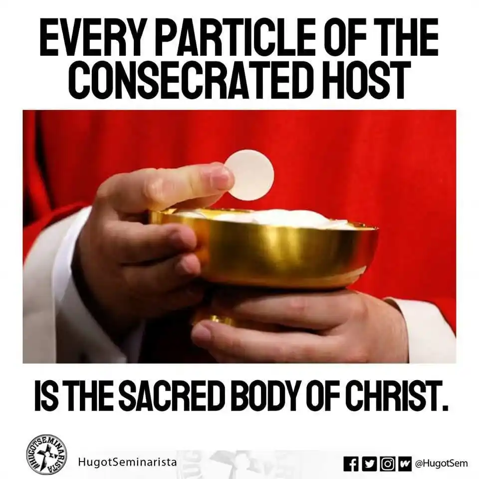 Image from DIVINE RETREAT UPDATES AND PRAYERS: EVERY PARTICLE OF THE CONSECRATED HOST IS THE SACRED BODY OF CHRIST C...