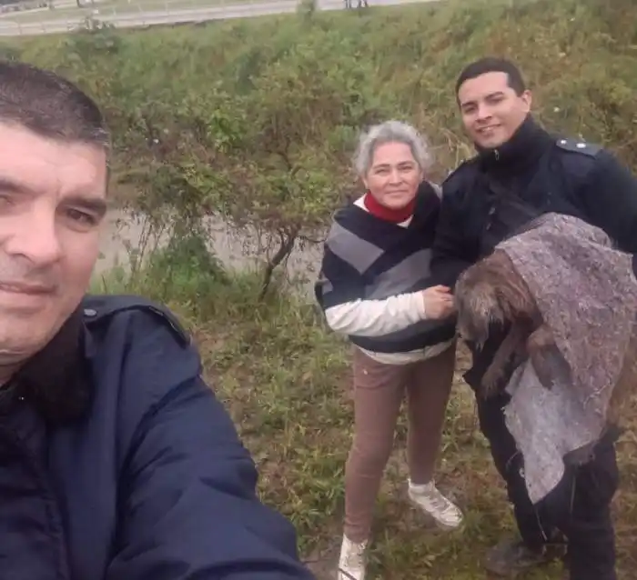 Image from Radio Sudamericana: 🐶 *LA POLICÍA RESCATÓ A UN PERRO ATRAPADO AL BORDE DEL RIACHO* Una r...