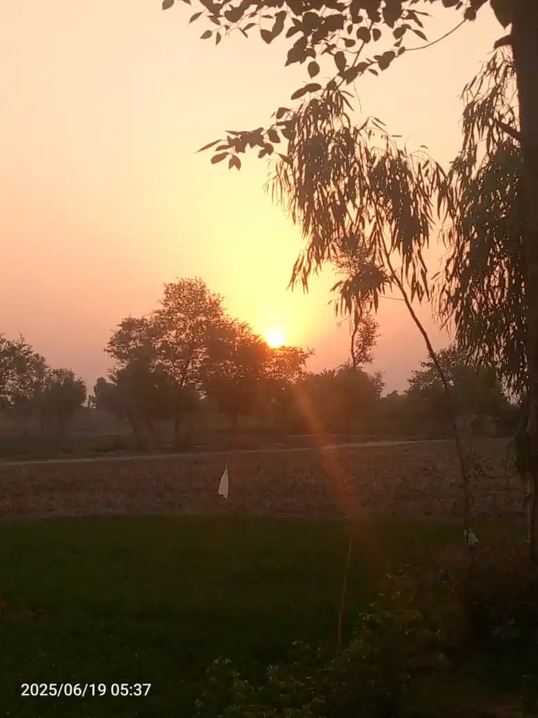 Image from Saraiki Vibes: ناشاد نماشاں کیا تھیسی   سج اوبھریں ظلم دیاں لاٹاں ہین   سئیں جمشید نا...