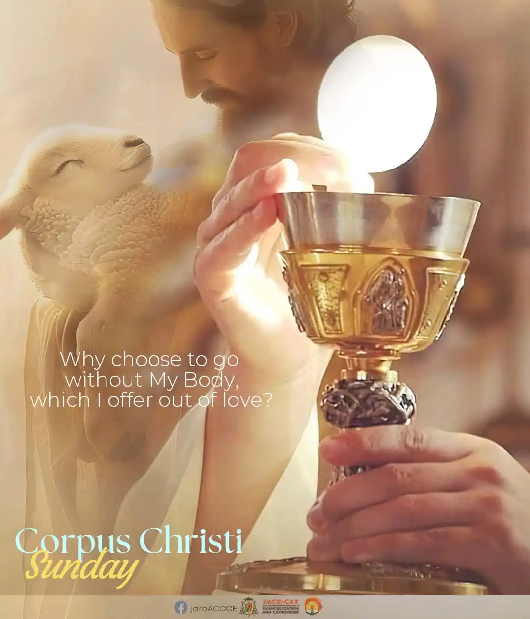 Image from DIVINE RETREAT UPDATES AND PRAYERS: *"Why choose to go without My Body, which I offer out of love?"* – Jes...