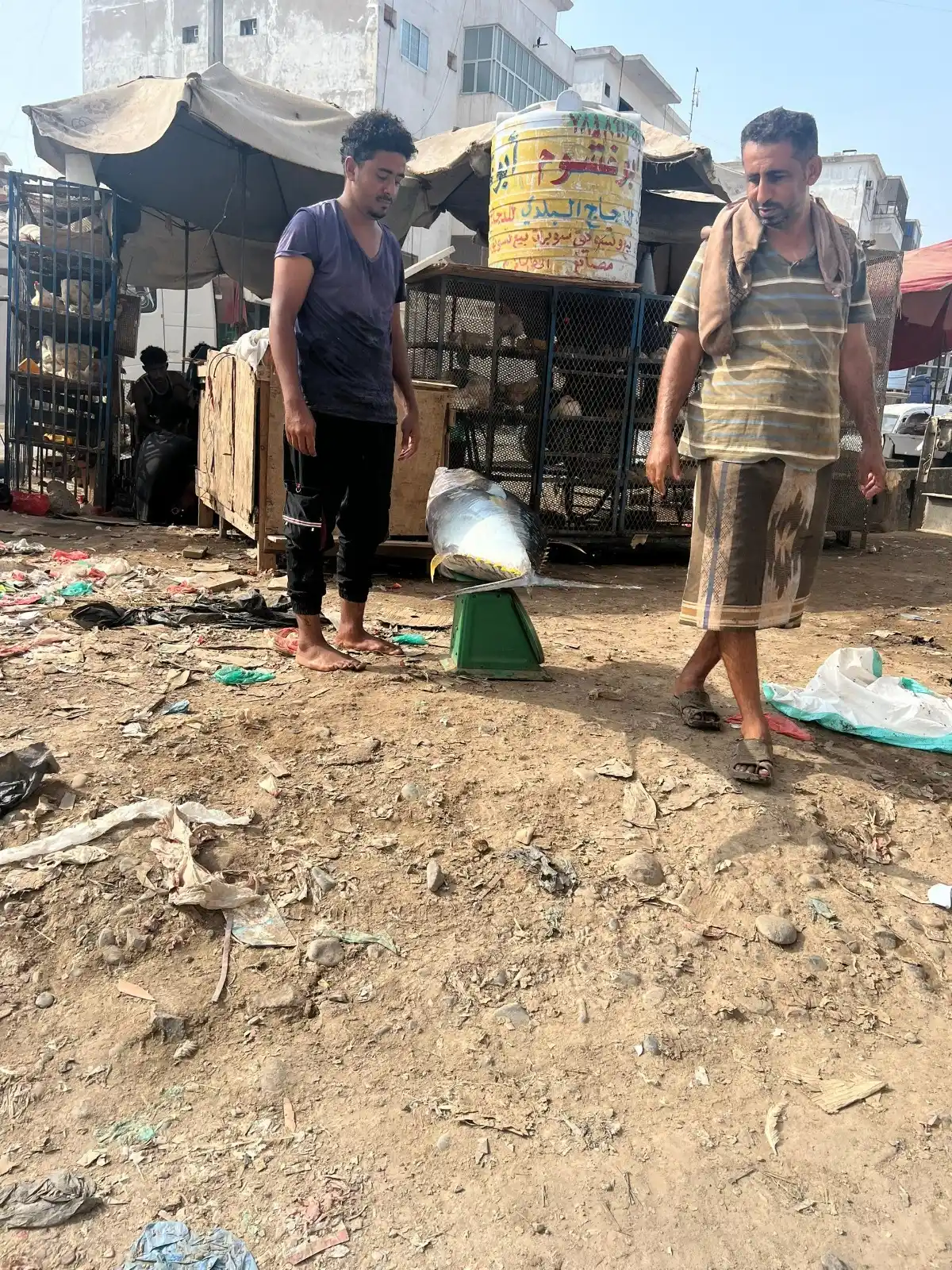 Image from فتحي  بن لزرق: ابدأ يومي بهذه المشاهدة العابرة .. في طريقي الى مكتبي صباح اليوم شاهدت...