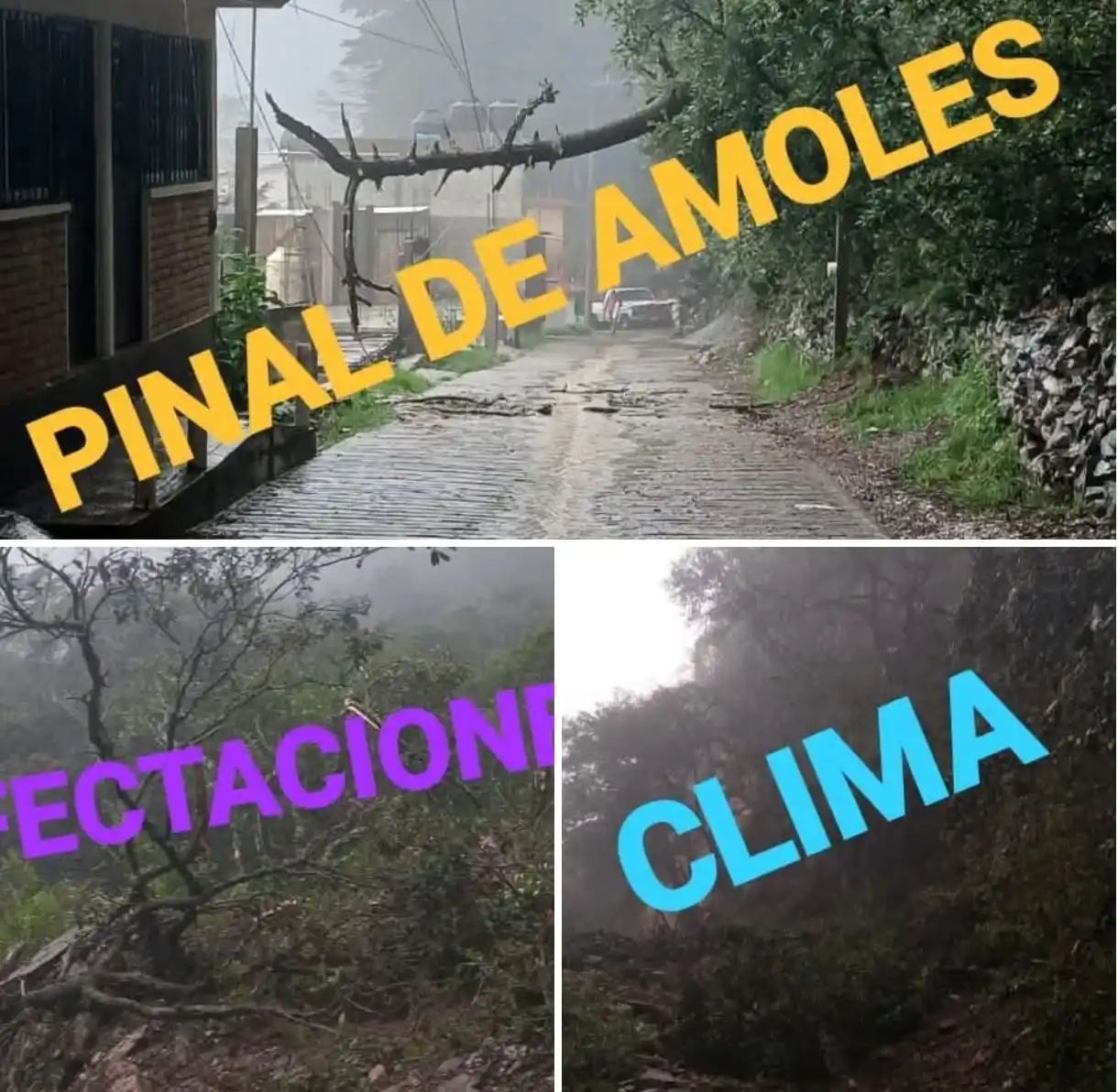 Image from Edgar Flores - CRÍPTICA: <a class="text-blue-500 hover:underline cursor-pointer" href="/hashtag...