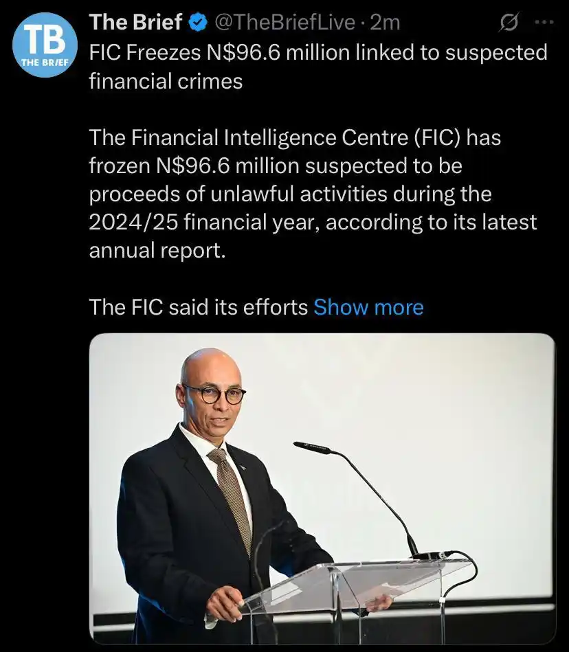 Image from The Brief Live and Namibia Mining & Energy : https://thebrief.com.na/2025/06/fic-freezes-n96-6-million-linked-to-su...
