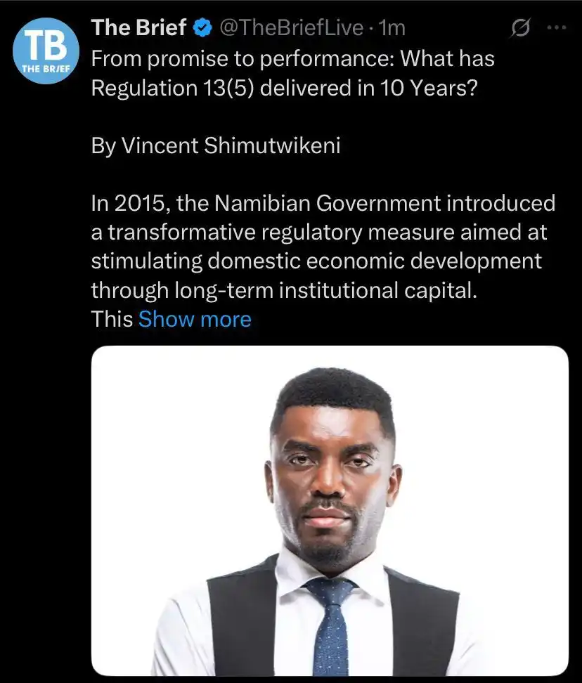 Image from The Brief Live and Namibia Mining & Energy : https://thebrief.com.na/2025/06/from-promise-to-performance-what-has-r...