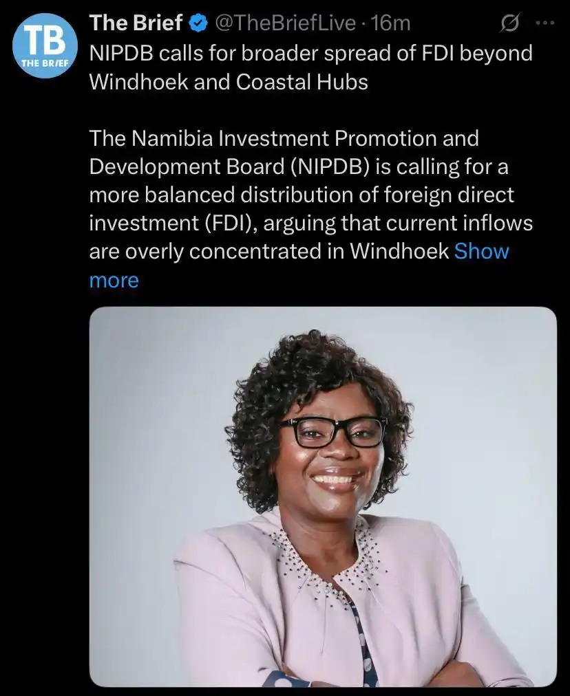 Image from The Brief Live and Namibia Mining & Energy : https://thebrief.com.na/2025/06/nipdb-calls-for-broader-spread-of-fdi-...