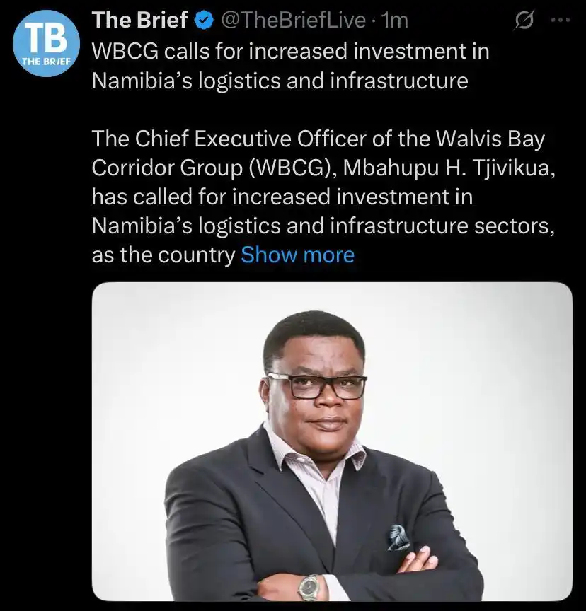 Image from The Brief Live and Namibia Mining & Energy : https://thebrief.com.na/2025/06/wbcg-calls-for-increased-investment-in...