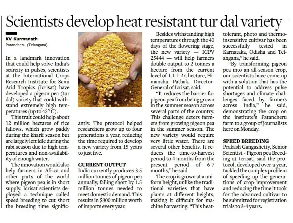 Image from Agri Kingdom: 🌱 New Heat-Resistant Tur Dal Developed!   ICRISAT scientists in Patan...
