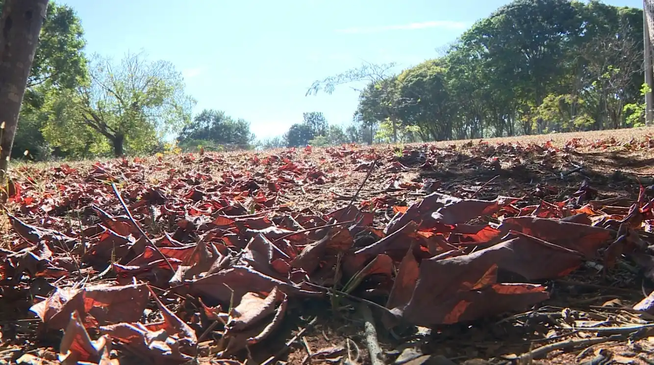Image from g1 | Campinas e Região: 🍂 Outono registra temperaturas mais frias e chuvas 30% abaixo do espe...
