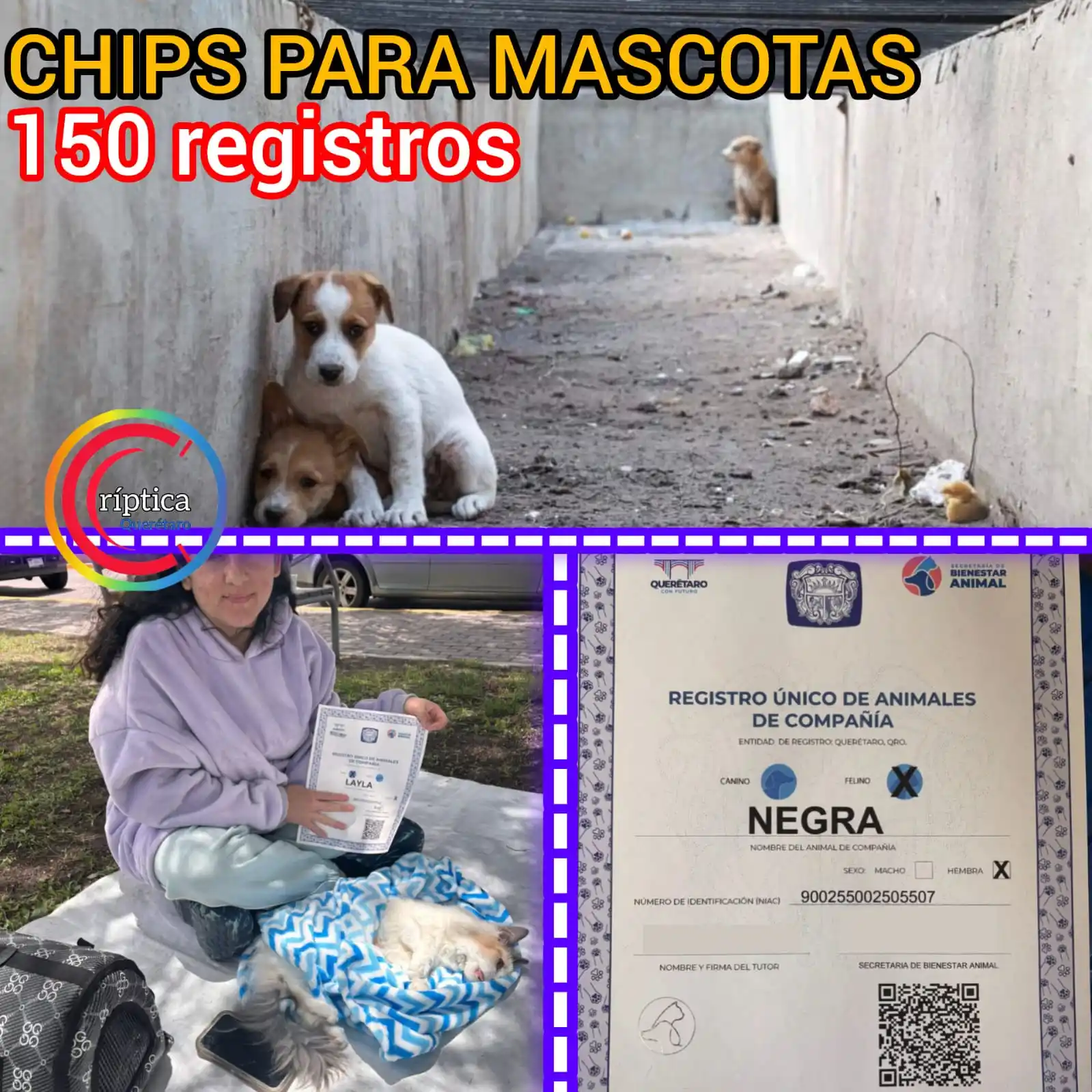 Image from Edgar Flores - CRÍPTICA: <a class="text-blue-500 hover:underline cursor-pointer" href="/hashtag...