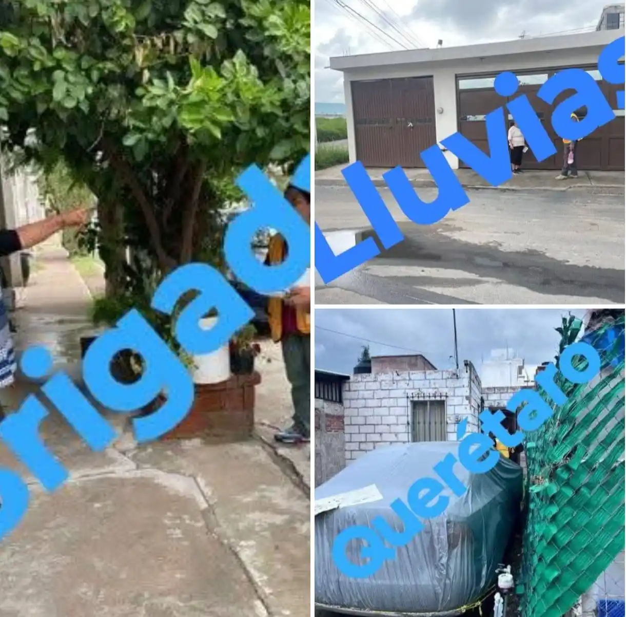 Image from Edgar Flores - CRÍPTICA: <a class="text-blue-500 hover:underline cursor-pointer" href="/hashtag...