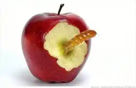 Image from ༺إتحاف ذوي العقول بما صحّ عن السّلف العدول༻: 🔵 *عندما ترى المتزيِّنات في الشوارع*  > تذكر قول الشاعر:  `ورُبَّ فاك...