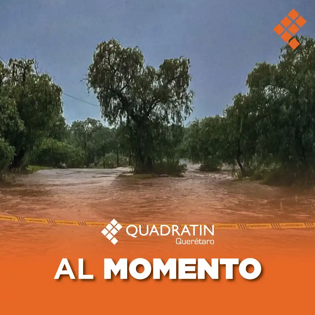 Image from Quadratín Querétaro: <a class="text-blue-500 hover:underline cursor-pointer" href="/hashtag...