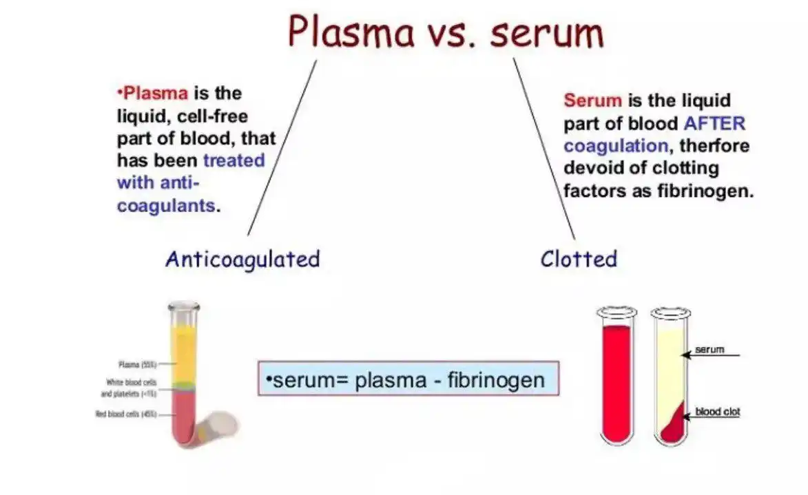 Image from نبض المختبر  Lab Pulse : 🩸Difference between plasma and serum...