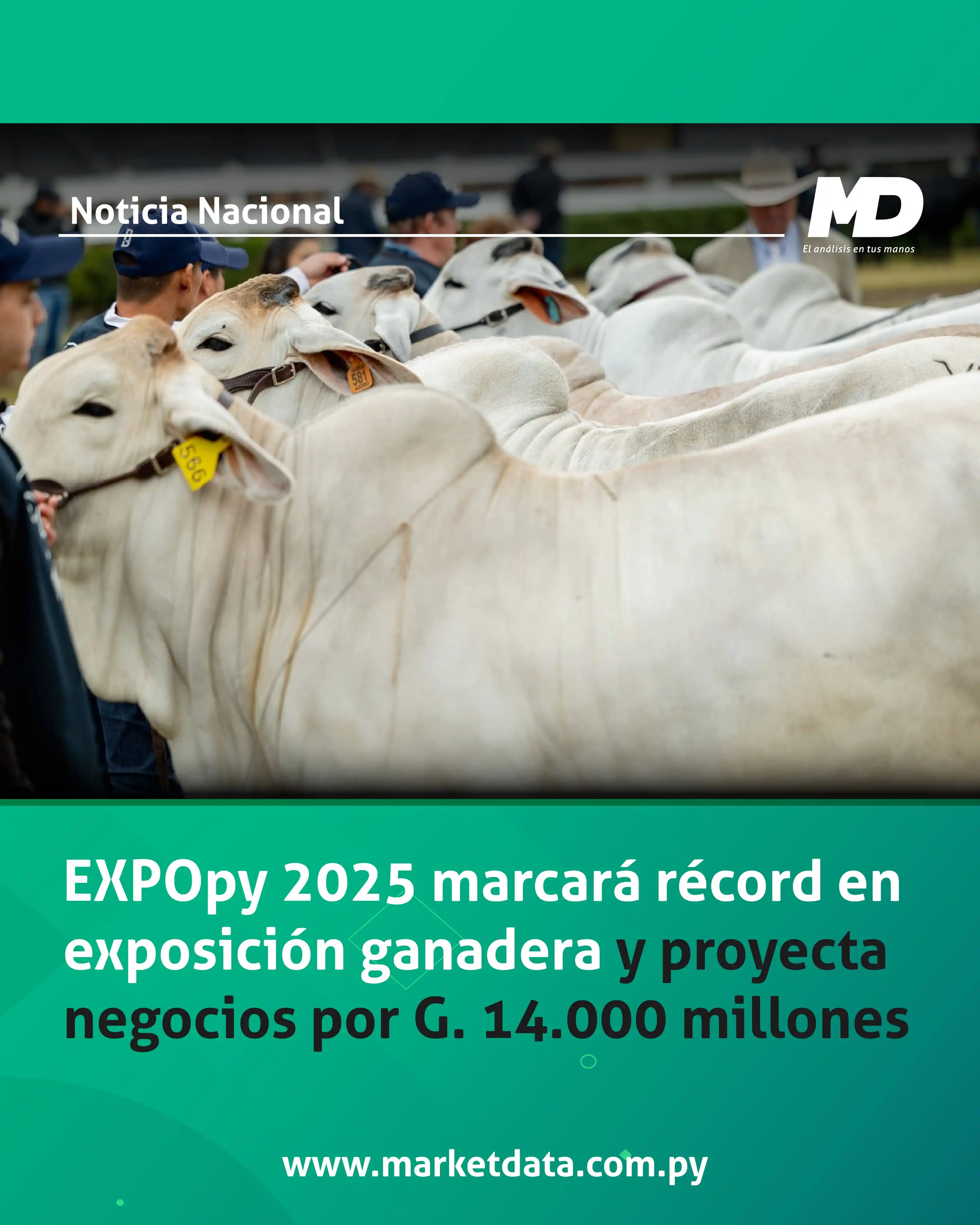 Image from MarketData: 🐮🐷 La EXPOpy 2025 se perfila como una edición histórica con más de 2...