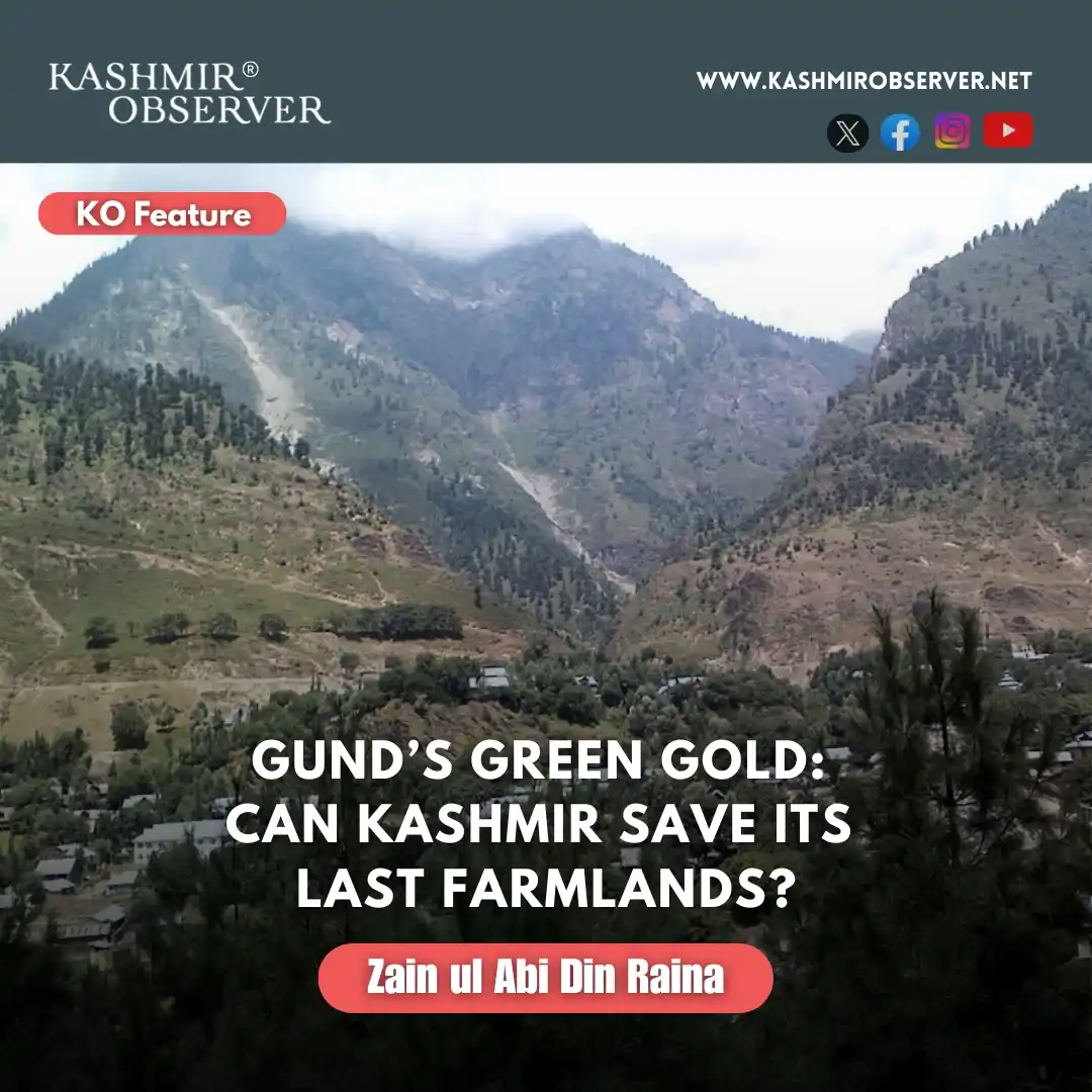 Image from Kashmir Observer®: *On the banks of the Nallah Sindh, a Kashmiri village stands at a cros...