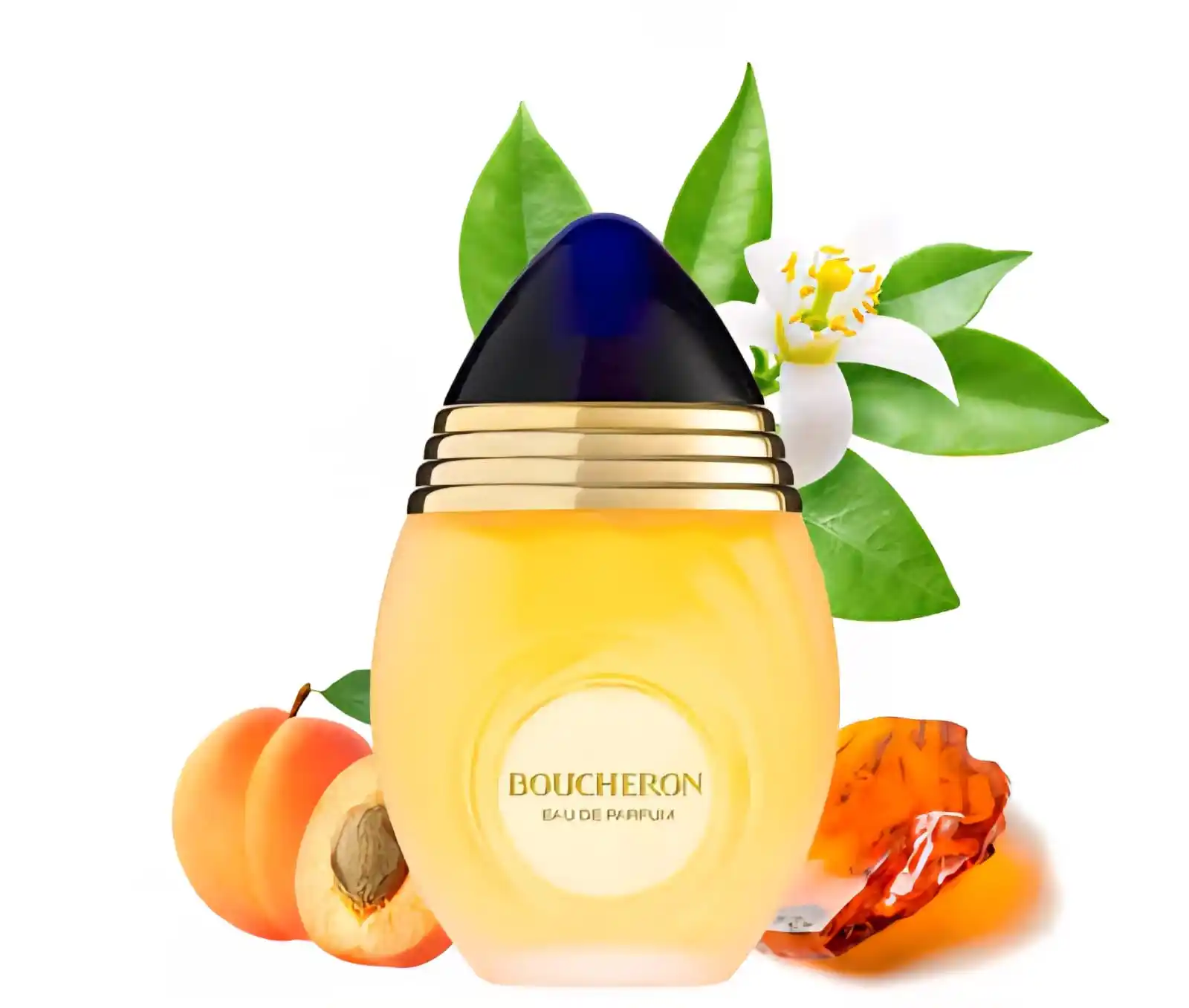Image from PerfumeAddicts: PerfumeAddicts Exclusive Deal: A REGAL COMPOSITION OF SILKY FLORALS A...