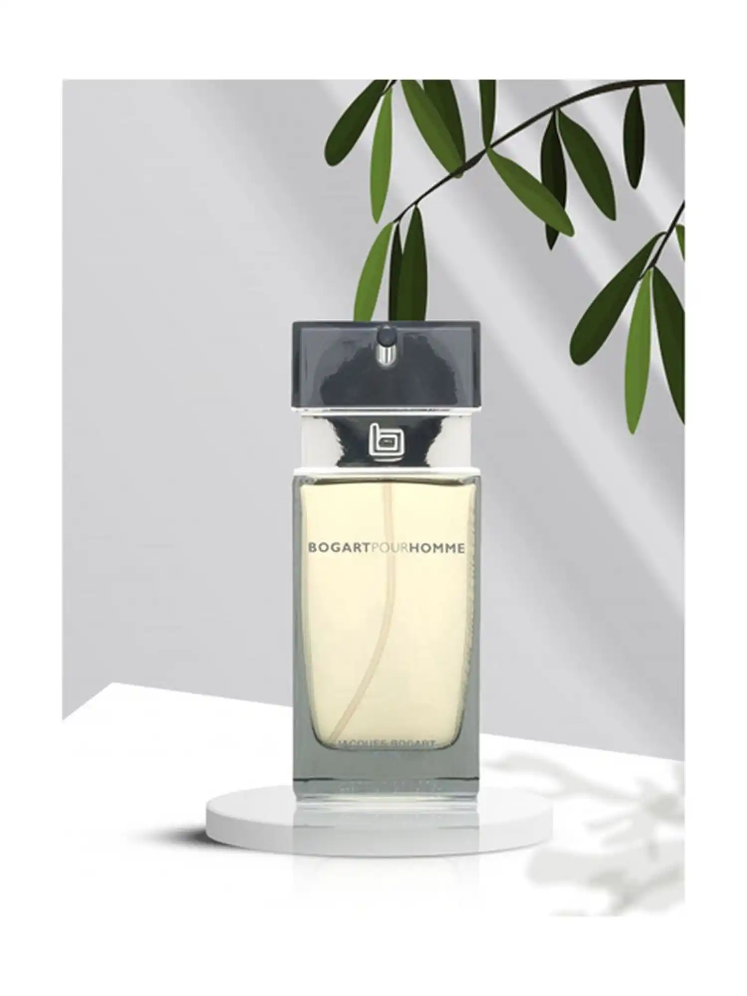 Image from PerfumeAddicts: PerfumeAddicts Exclusive Deal: UNAPOLOGETICALLY MASCULINE 🔥🔥A POWER...