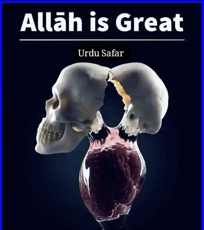 Image from Urdu Safar Channel: दिमाग़ का वज़न, जो खोपड़ी के अंदर होता है, दरअस्ल तक़रीबन 1.5 किलो ग्र...