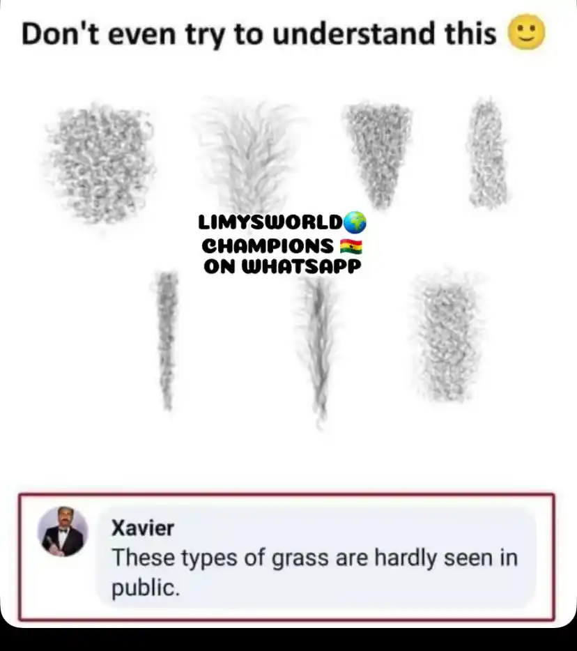 Image from 😂🇬🇭 LIMYSWORLD🌍CHAMPIONs
🇳🇬😅: These type of grass are hardly to seen in public😭😭😂😂...