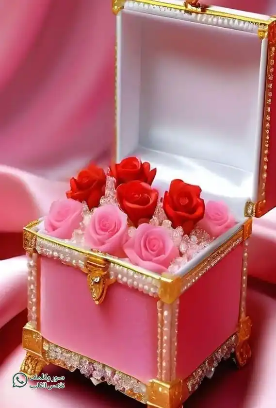 Image from عشاق بوستات: ♥️💫🌹 ستبقى الحياة جميلة مادام هناك   أشخاص قلوبهم كالورود  جميلون بأ...