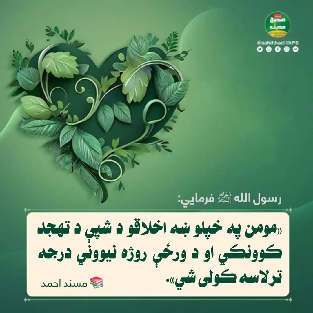 Image from صحیح حدیث پښتو: <a class="text-blue-500 hover:underline cursor-pointer" href="/hashtag...