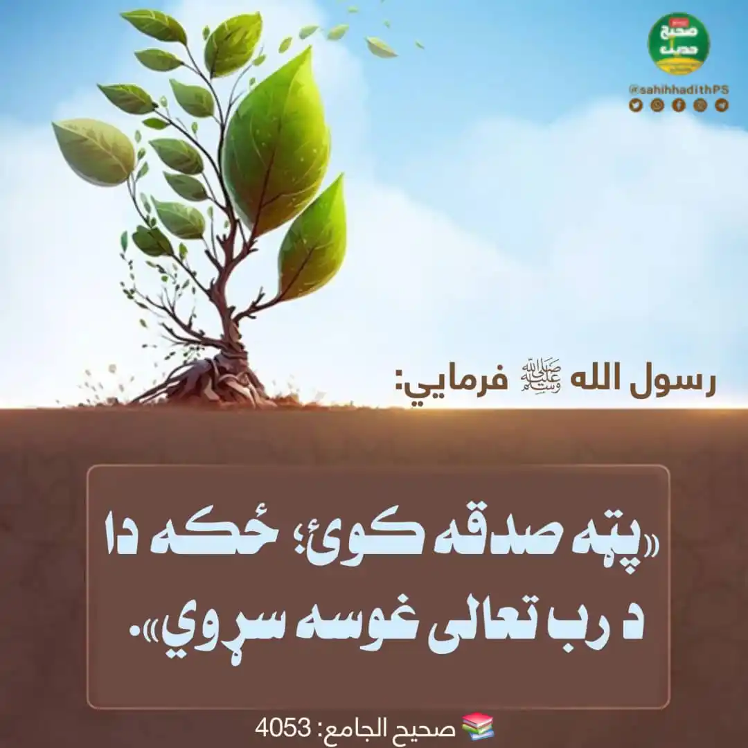 Image from صحیح حدیث پښتو: <a class="text-blue-500 hover:underline cursor-pointer" href="/hashtag...