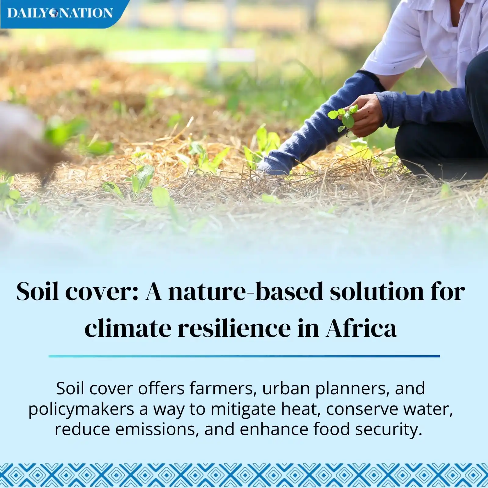 Image from Nation.Africa: Soil cover: A nature-based solution for climate resilience in Africa <...