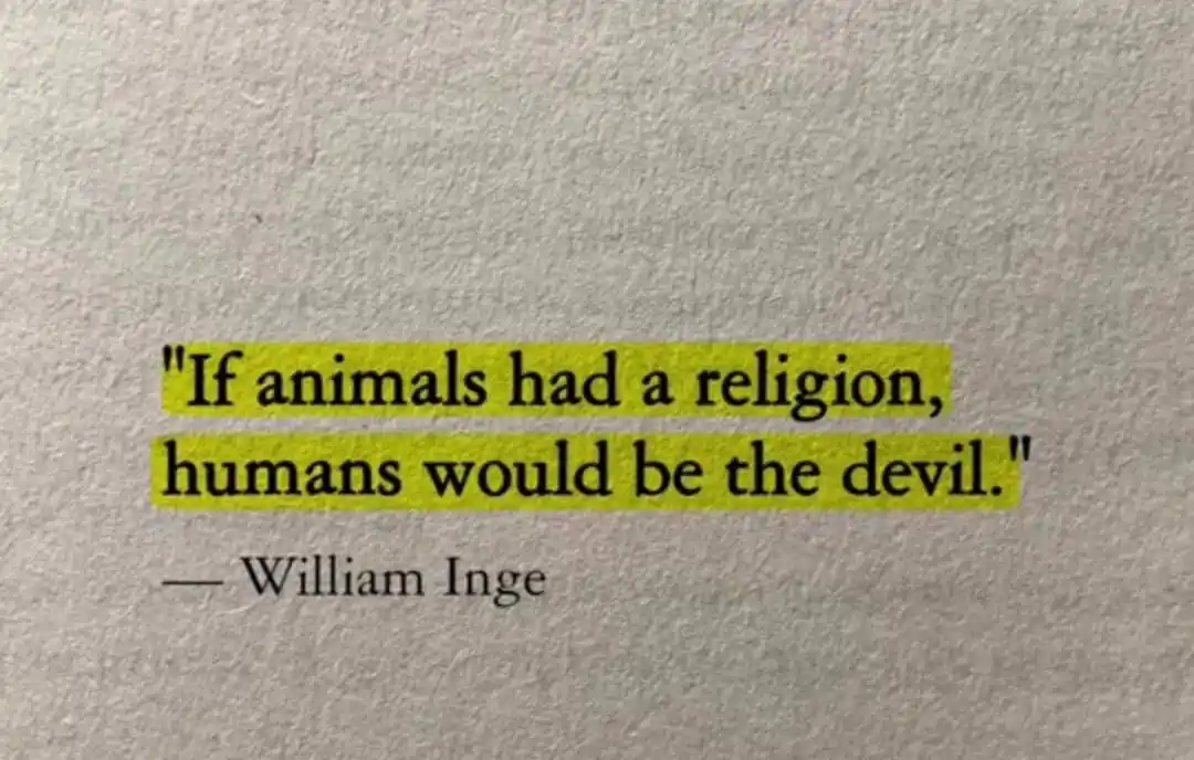 Image from Health Targets: ```> William Inge✍️```...