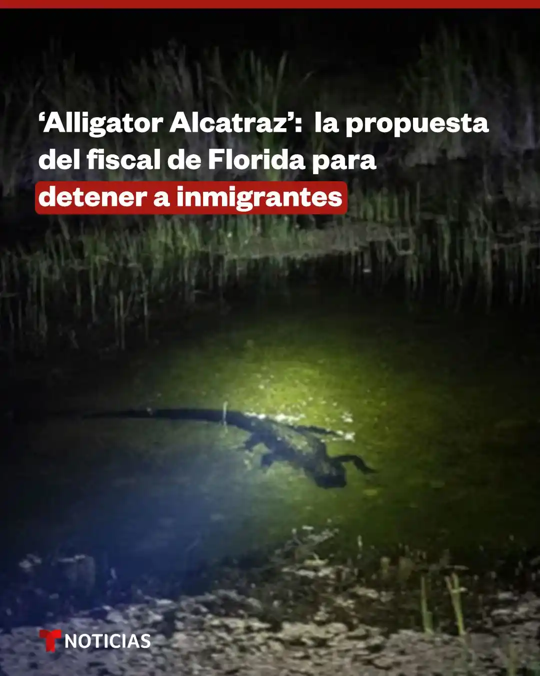 Image from Noticias Telemundo: 🐊 Caimanes, serpientes, pantano: así quiere el fiscal de *Florida det...