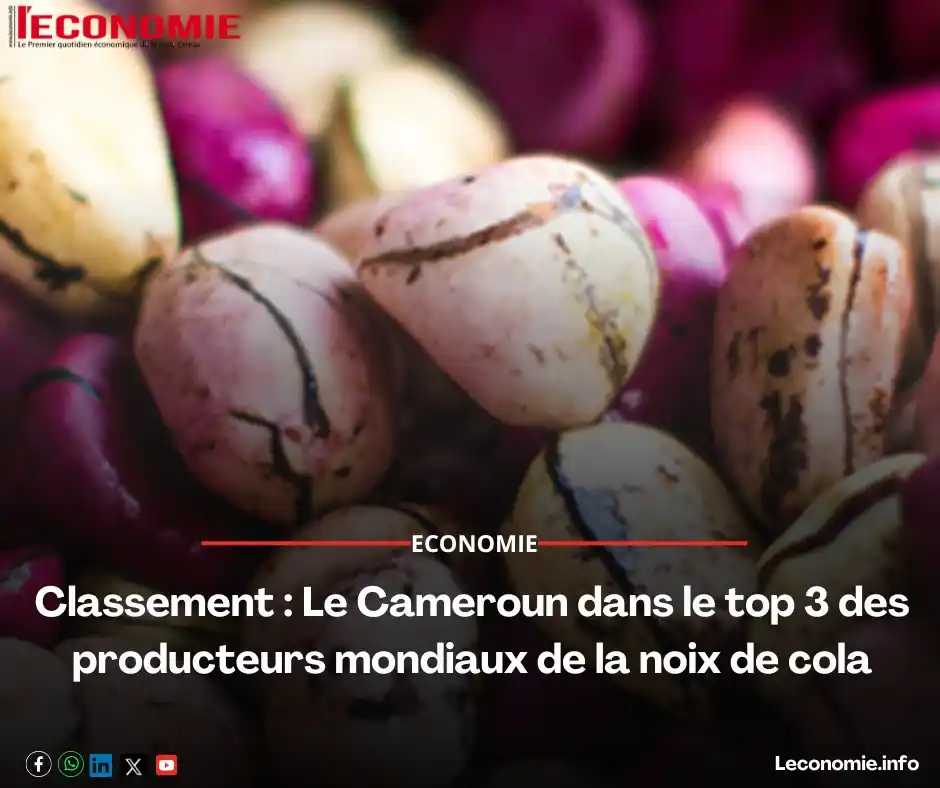Image from L'Economie💸: *Classement : Le Cameroun dans le top 3 des producteurs mondiaux de la...