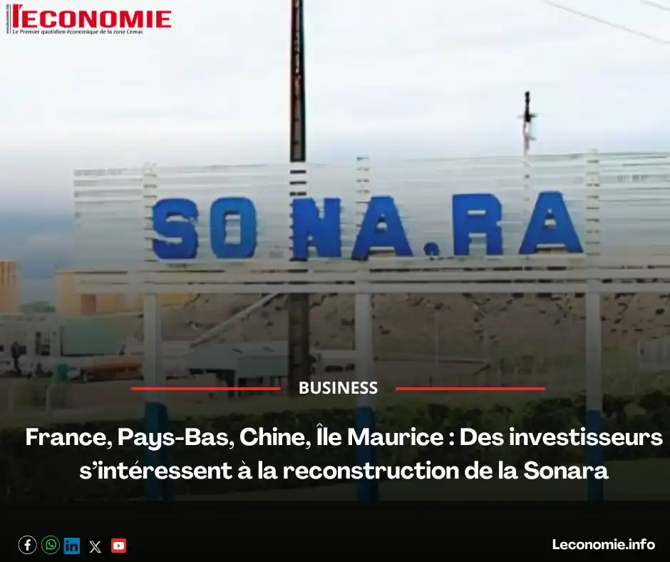 Image from L'Economie💸: *France, Pays-Bas, Chine, Île Maurice : Des investisseurs s’intéressen...