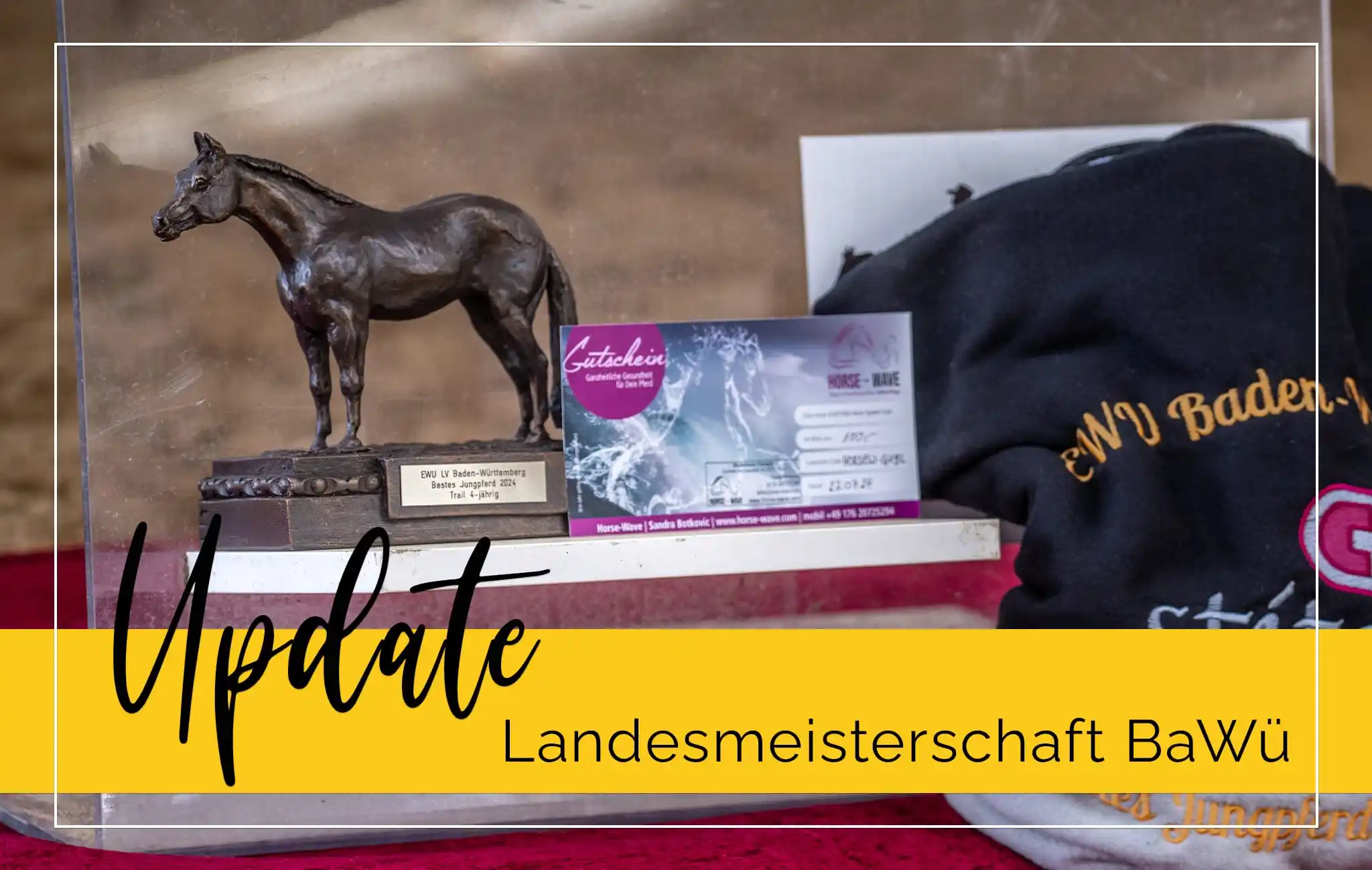 Image from EWU Baden-Württemberg: 📣 Update zur Landesmeisterschaft 📣  Die Vorbereitungen laufen auf Ho...
