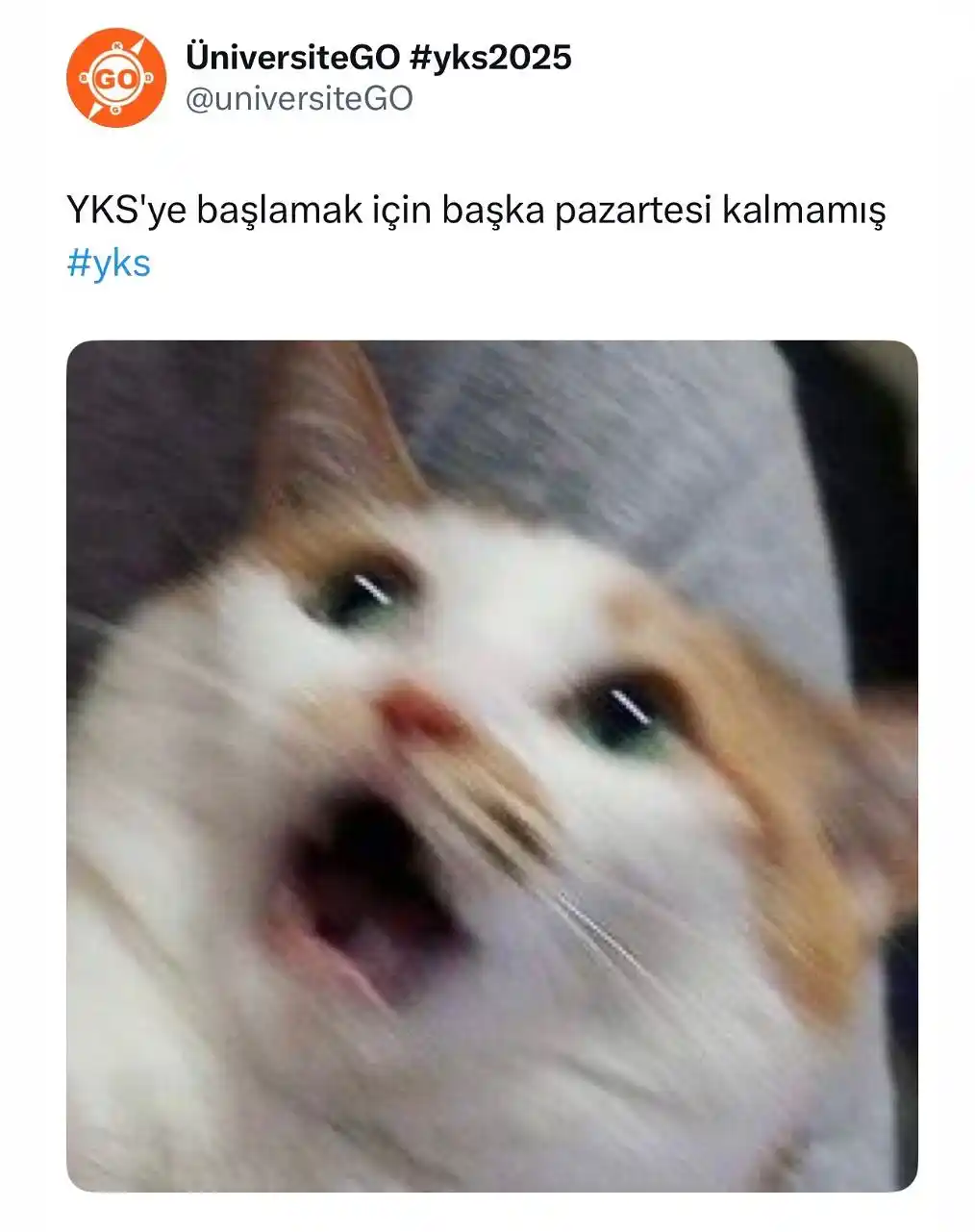Image from ÜniversiteGO #yks2025: YKS’ye başlamak için başka pazartesi kalmamış😱...