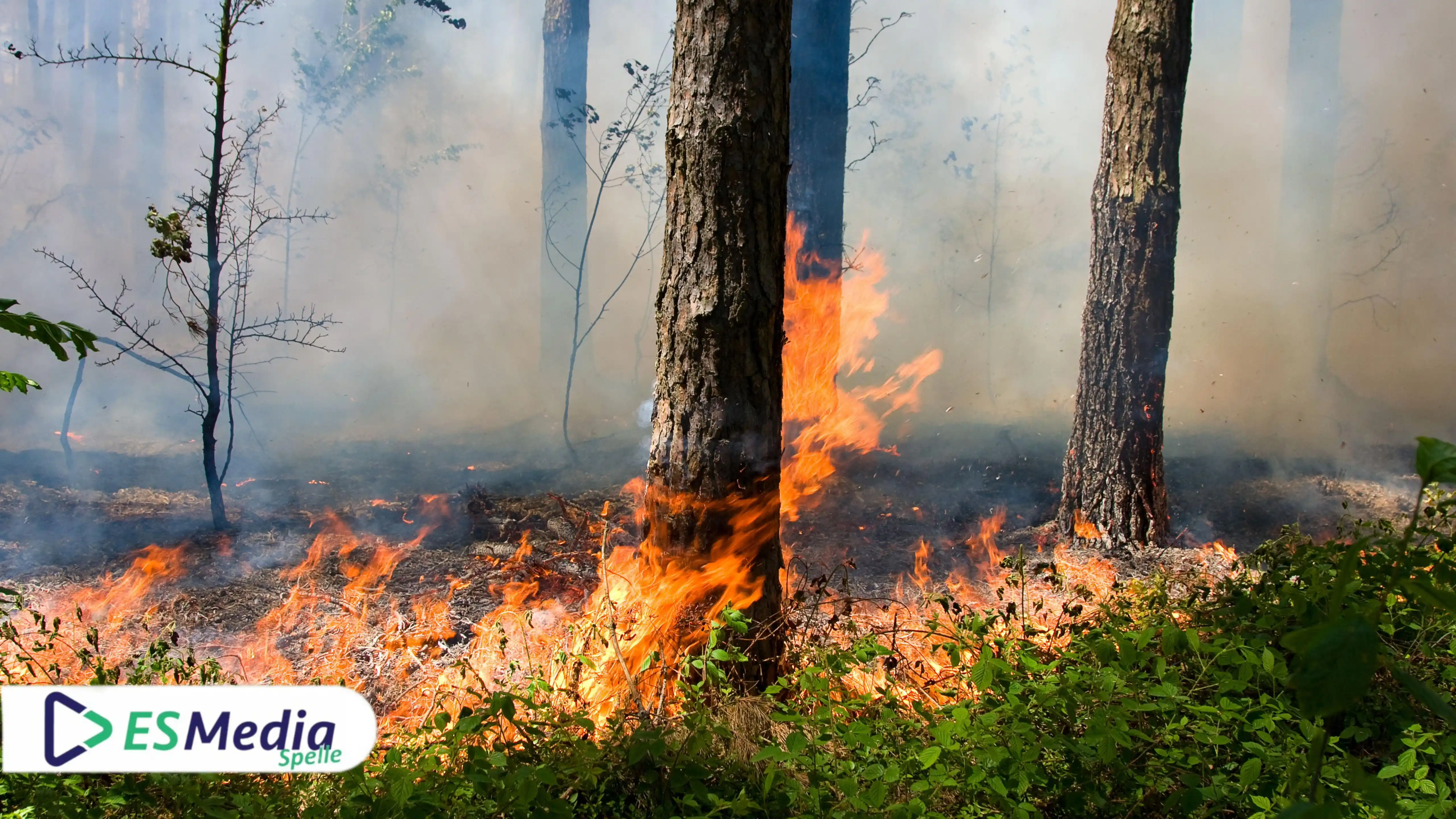 Image from ES Media Spelle: ACHTUNG: ERHÖHTE WALDBRANDGEFAHR! https://esmedia-spelle.de/achtung-e...