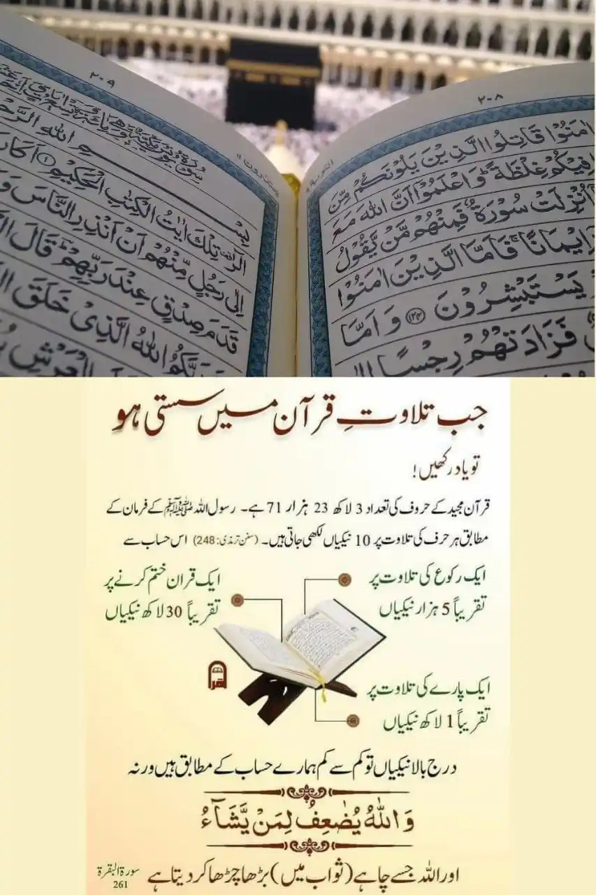 Image from رَاجِيَةُ الْجِنَانْ 🌿📖🌿📖 Hoping For Jannah: ✨✨✨✨✨✨✨✨✨ بِسْــــــــــــــــــمِ اﷲِالرَّحْمَنِ اارَّحِيم السَلامُ ...