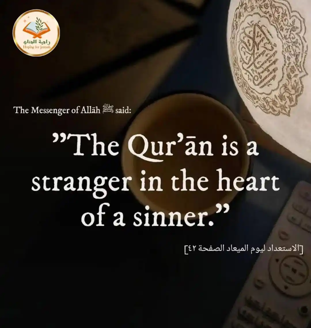 Image from رَاجِيَةُ الْجِنَانْ 🌿📖🌿📖 Hoping For Jannah: 🌹📖 *"Daily dose of Qur'an"* *"Connect with Allah's Word"* 📖🌹 > ...