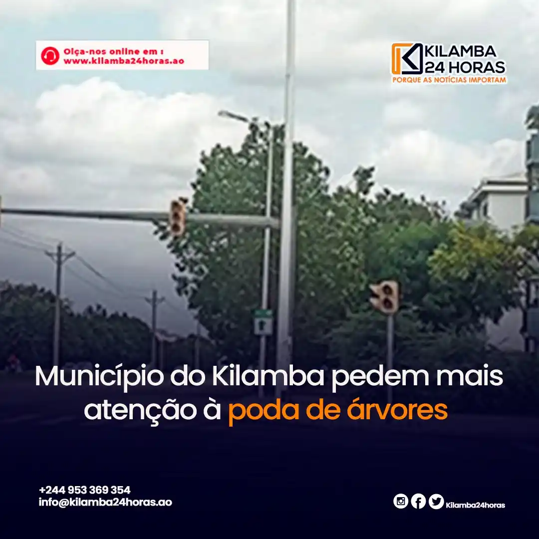 Image from KILAMBA 24 HORAS: MUNÍCIPES DO KILAMBA PEDEM MAIS ATENÇÃO À PODA DAS ÁRVORES!!!  Uma das...