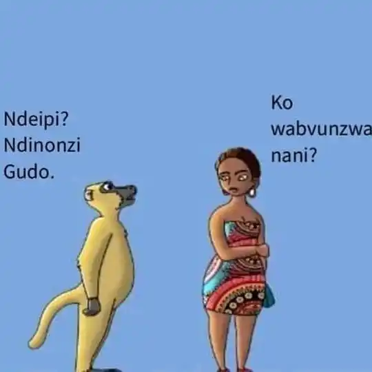 Image from SAMANYANGA OFFICIAL🇿🇼✔️: Tese toziva kuti gudo rakazoita cei kumawere😂🙌...