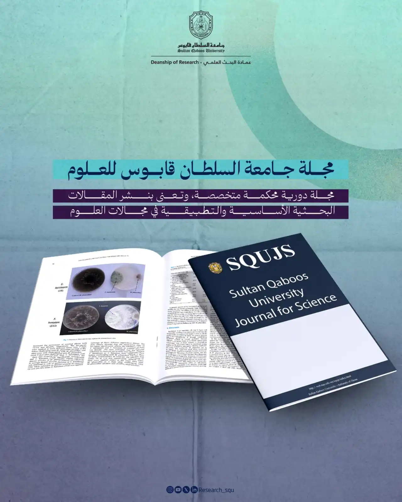 Image from Research.squ: دراسة تقارن بين خصائص 8 أنواع من العسل النادر المنتج في سلطنة عمان 🍯....