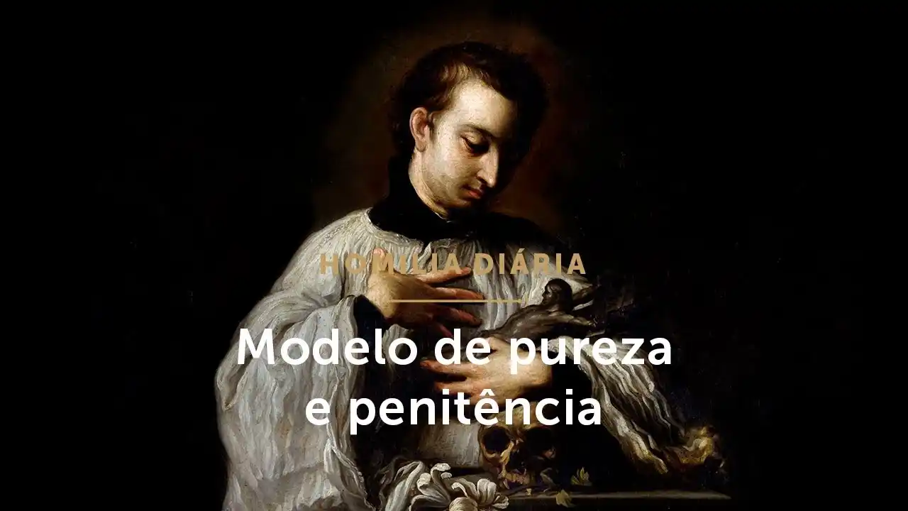 Image from Templário de Maria | Formação Católica, Oração, Liturgia, Notícias e muito mais...: *Homilia Diária | Um jovem de oração, pureza e penitência* _(Memória d...