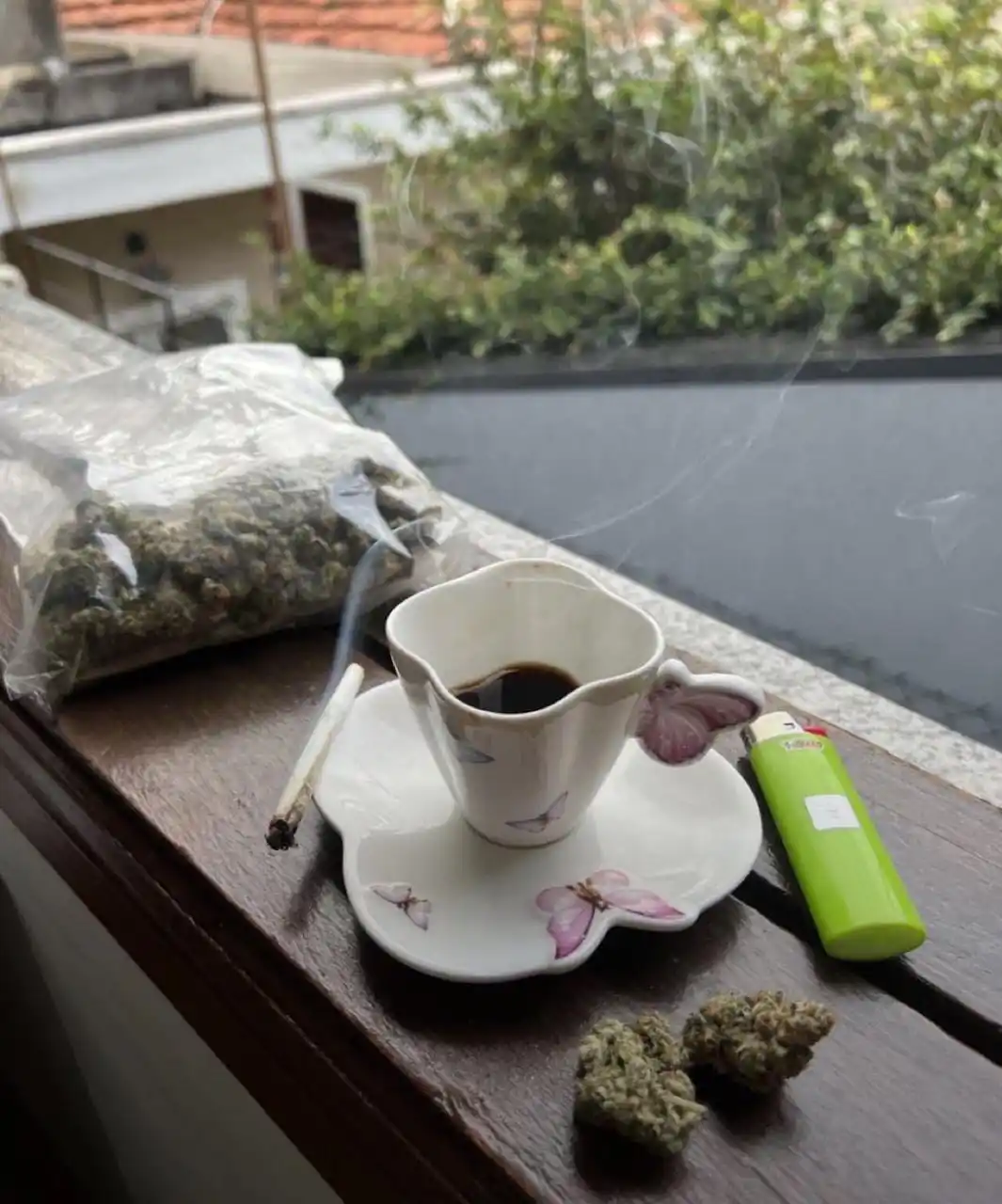 Image from 4:20_Chronicles: Wake n bake gardeners ☕🍁...