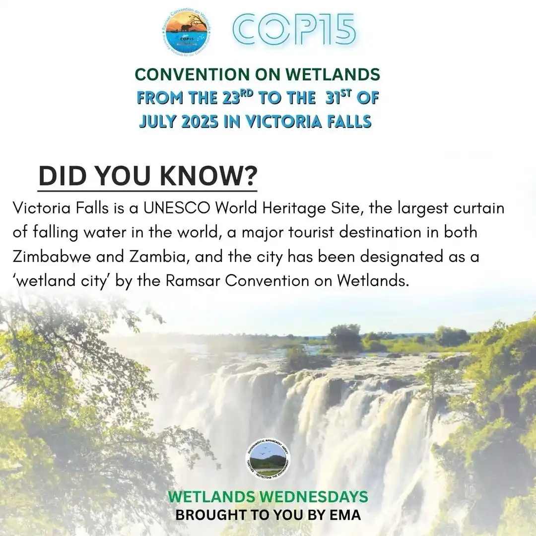 Image from Environmental Management Agency (EMA): Wetlands Wednesday is here, and with COP15 fast approaching, all eyes ...