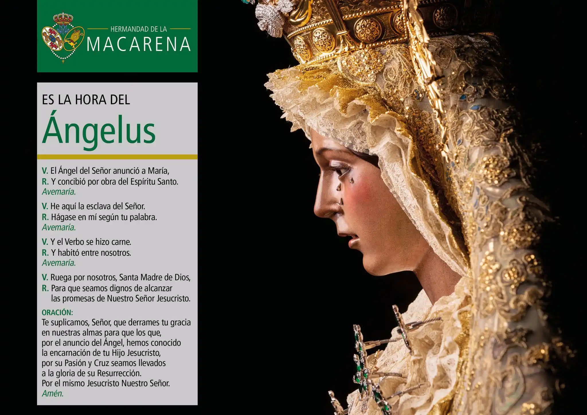 Image from Hermandad de la Macarena: ÁNGELUS | A las 12:00 h te invitamos a rezar el Ángelus y a poner ante...