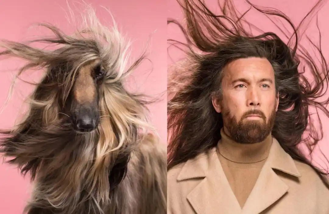Image from Village Life: *Sunday Leisure Read* Dogs and their owners really do look alike—here...